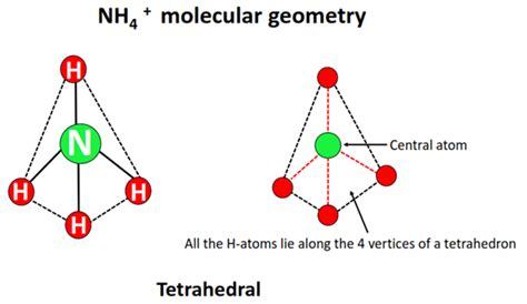 NH4+ Lewis Structure, Molecular Geometry, and Hybridization.